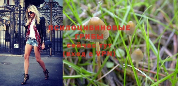 спиды Хадыженск