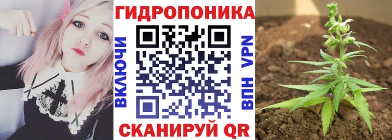 Конопля White Widow Цоци-Юрт